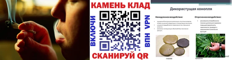 Купить закладки  Оха  ГАШИШ AMNESIA HAZE 
