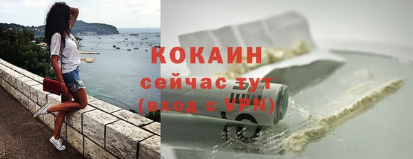 дживик Бронницы