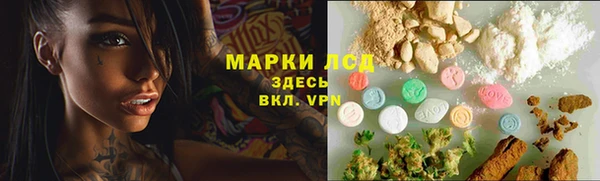 apvp Бородино
