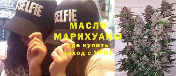 дживик Бронницы