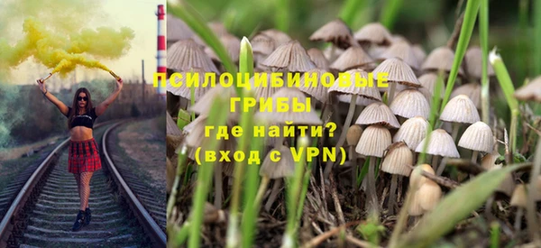 дживик Бронницы