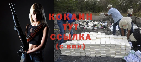 дживик Бронницы