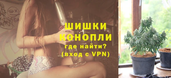 дживик Бронницы